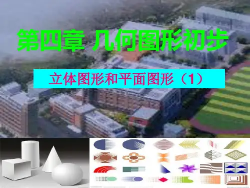 人教版数学七年级上册4.1.1立体图形的展开图课件(共18张PPT)