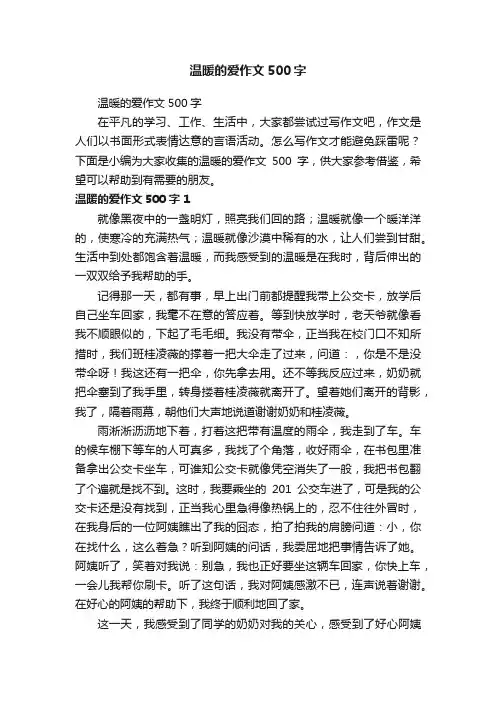 温暖的爱作文500字