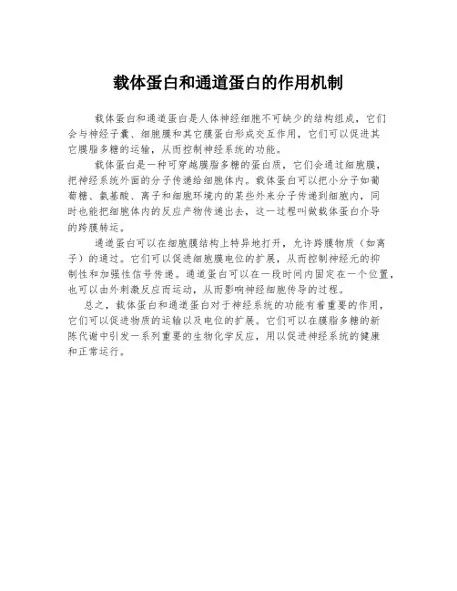 载体蛋白和通道蛋白的作用机制