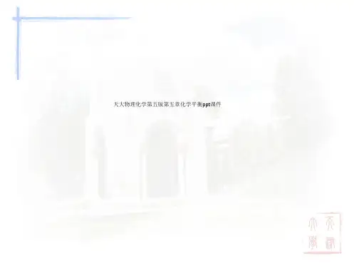 天大物理化学第五版第五章化学平衡ppt课件