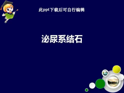 泌尿系结石PPT课件