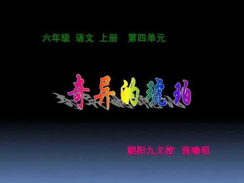 《奇异的琥珀》