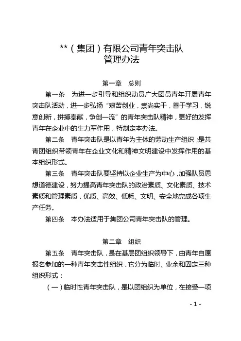 《公司青年突击队管理办法》