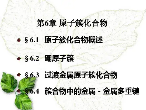 大连理工大学胡涛中级无机化学6