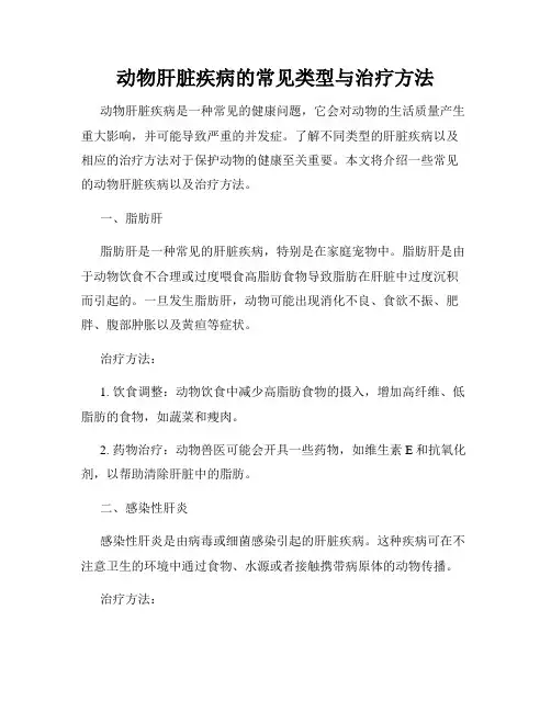 动物肝脏疾病的常见类型与治疗方法