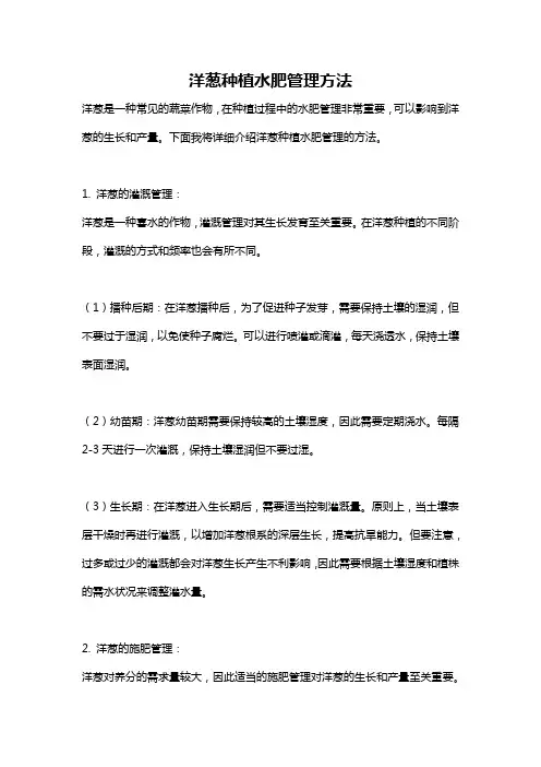 洋葱种植水肥管理方法