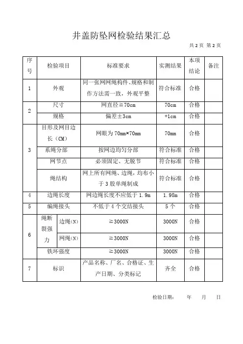 防坠网报告