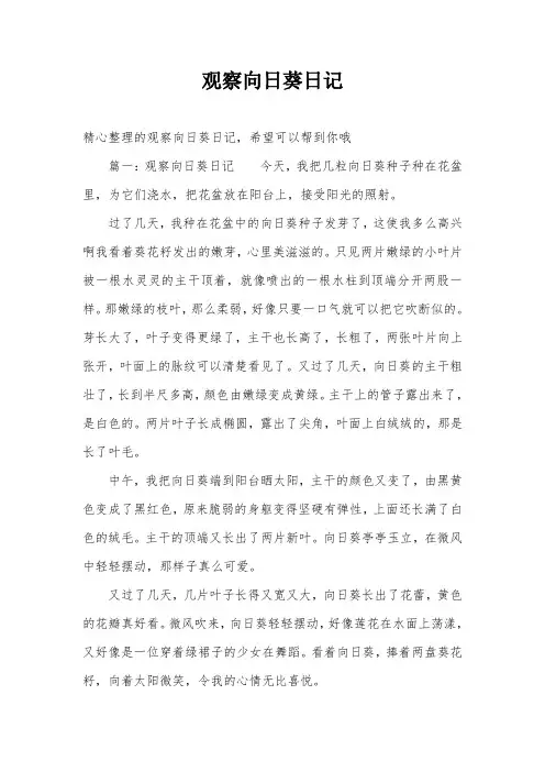观察向日葵日记