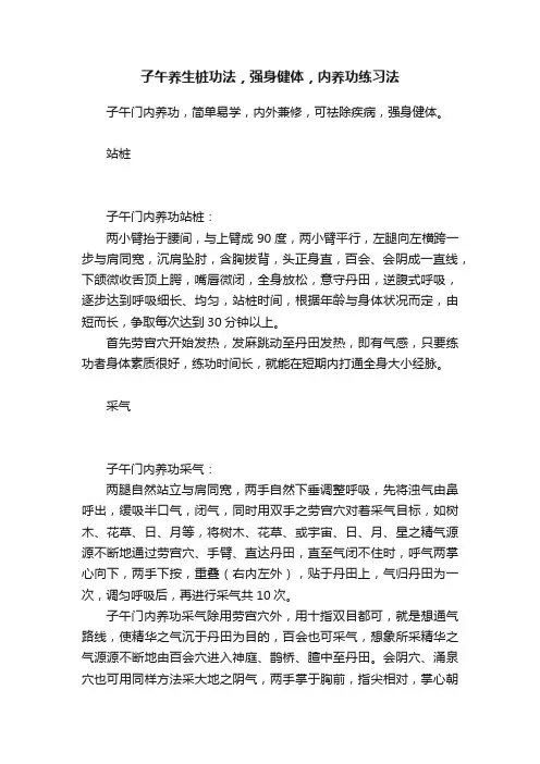 子午养生桩功法，强身健体，内养功练习法
