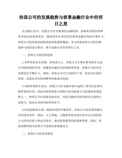 担保公司的发展趋势与前景金融行业中的明日之星