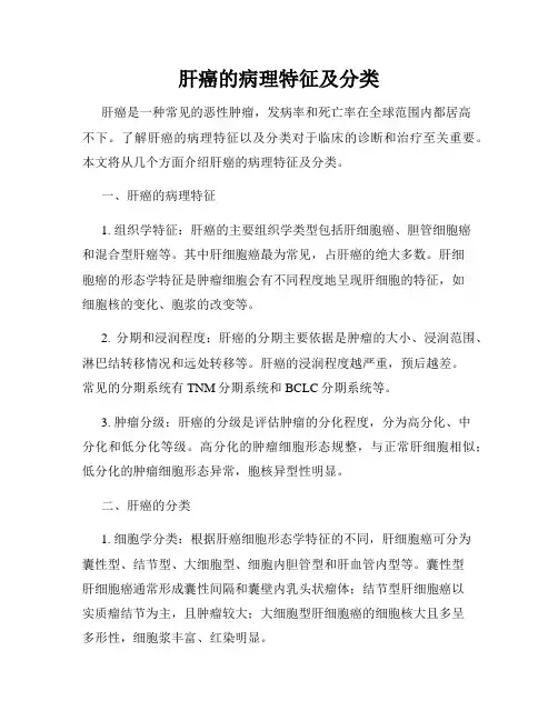 肝癌的病理特征及分类