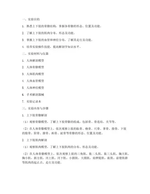上下肢实验报告