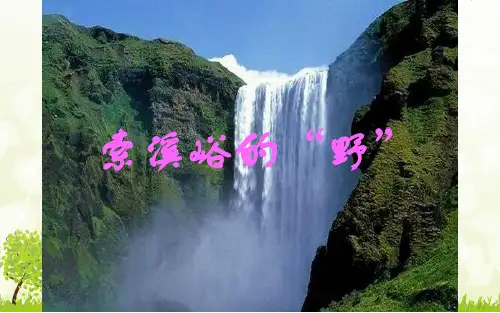 索溪谷的“野”-PPT课件