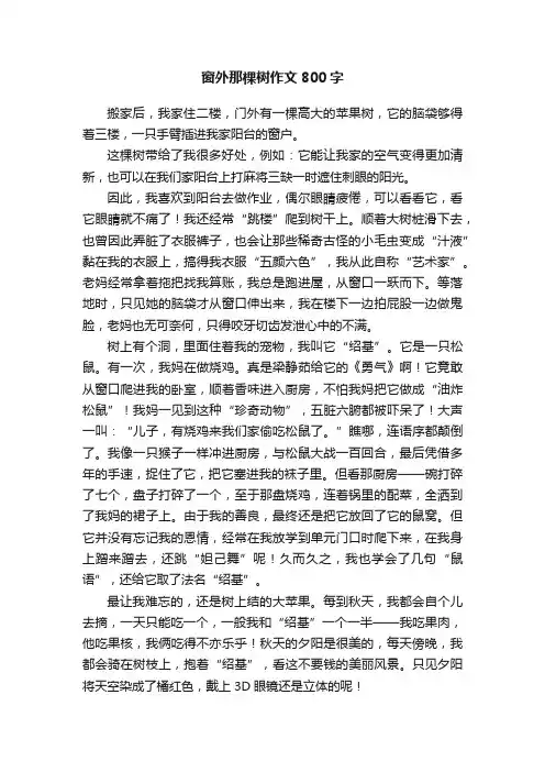 窗外那棵树作文800字
