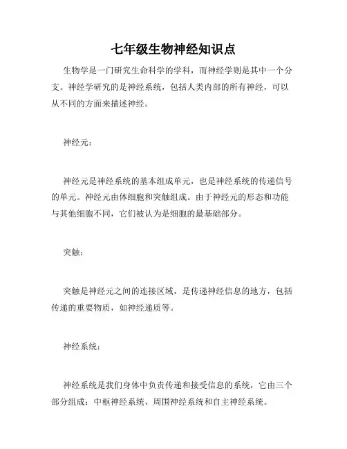 七年级生物神经知识点