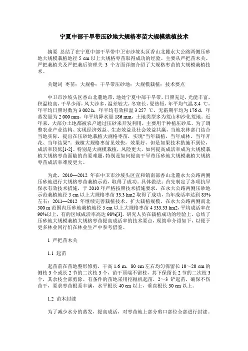 宁夏中部干旱带压砂地大规格枣苗大规模栽植技术