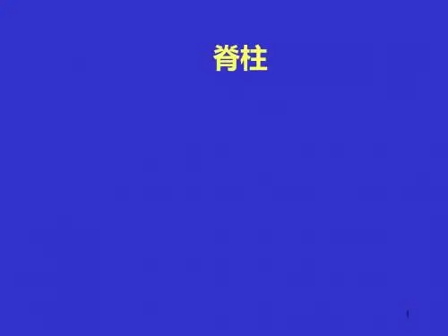 脊柱CTMRI诊断PPT课件