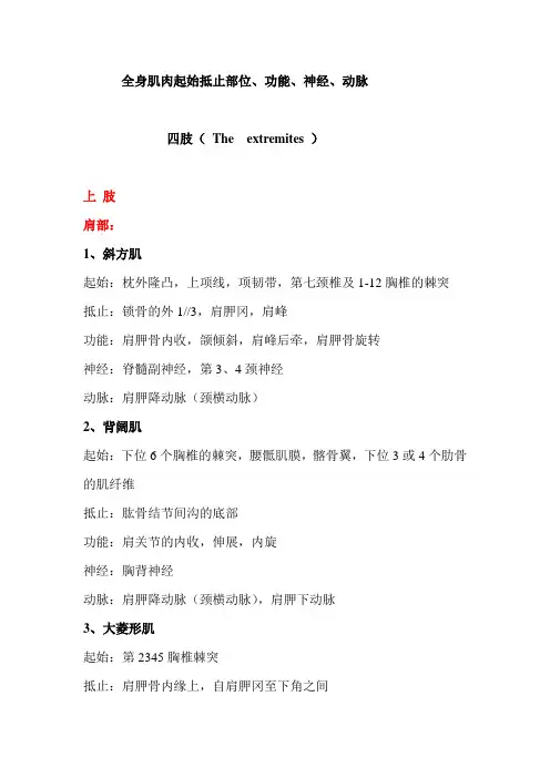 肌肉功能--四肢