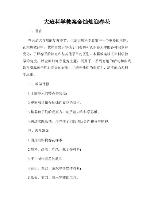 大班科学教案金灿灿迎春花