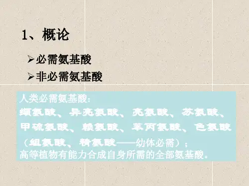 氨基酸和重要衍生物生物合成