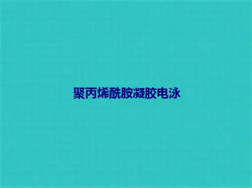 聚丙烯酰胺凝胶电泳(共42张PPT)全
