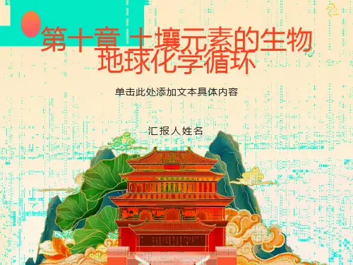 土壤学第十章土壤元素的生物地球化学循环