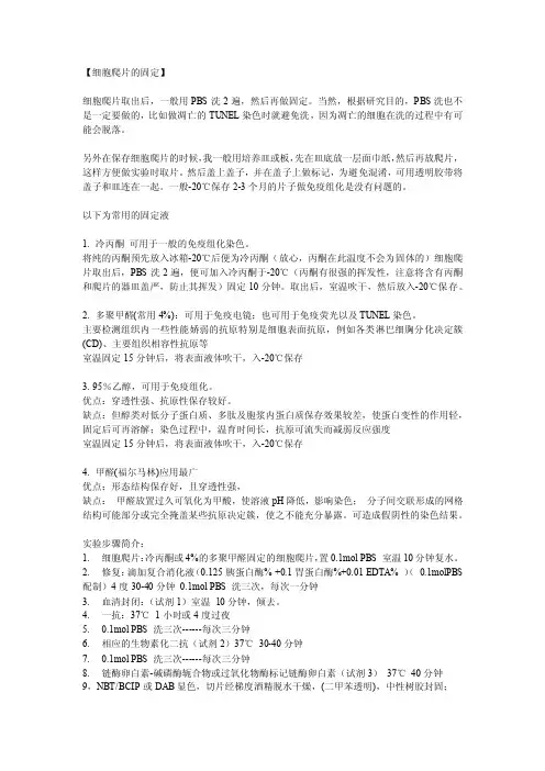 细胞爬片的固定和免疫组化