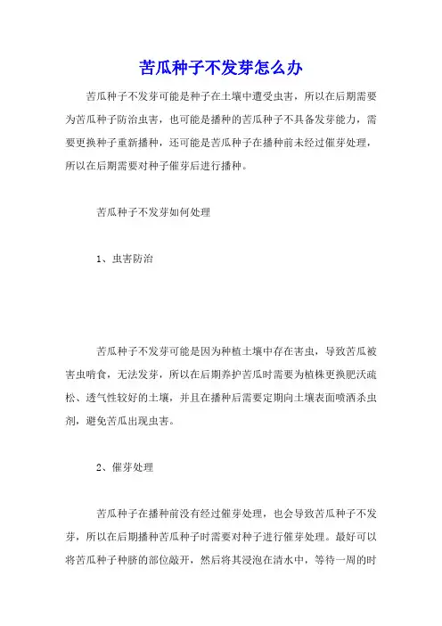 苦瓜种子不发芽怎么办