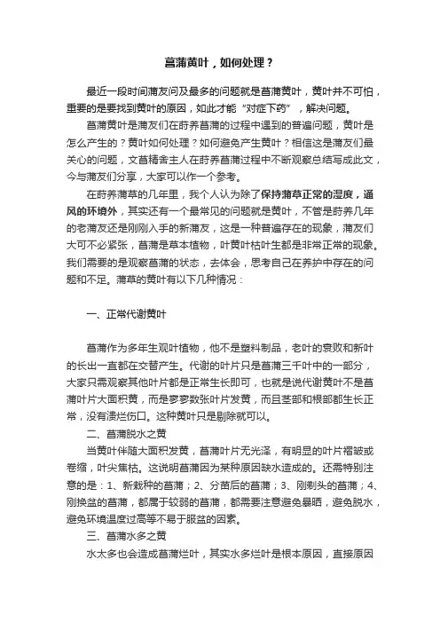 菖蒲黄叶，如何处理？