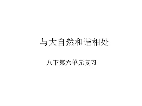八年级政治与大自然和谐相处-人教版
