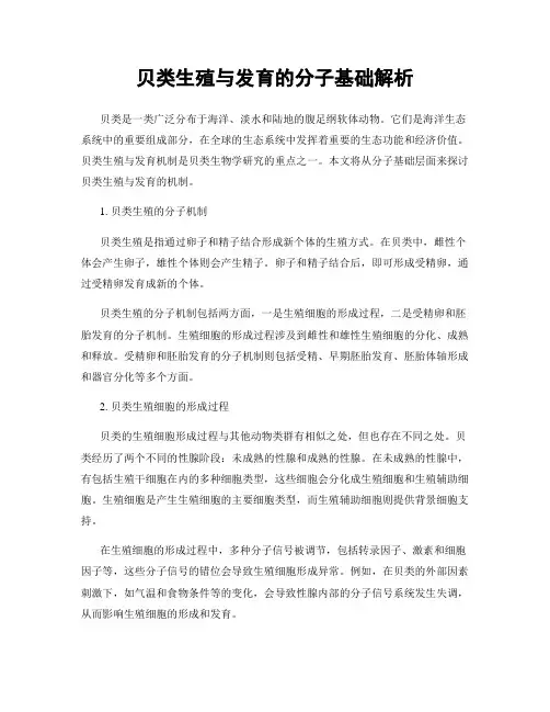 贝类生殖与发育的分子基础解析