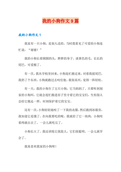 我的小狗作文9篇