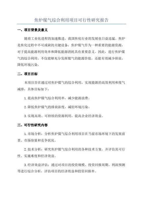 焦炉煤气综合利用项目可行性研究报告