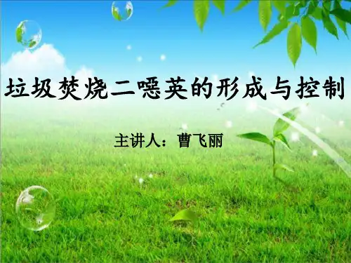 垃圾焚烧二恶英的产生和控制