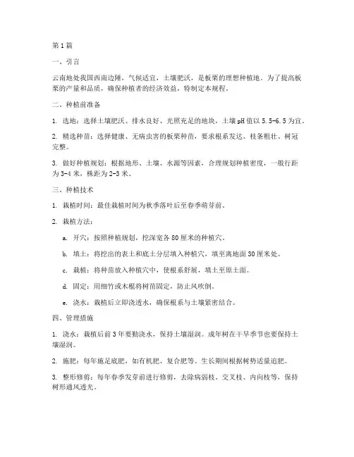 云南板栗种植操作规程(3篇)