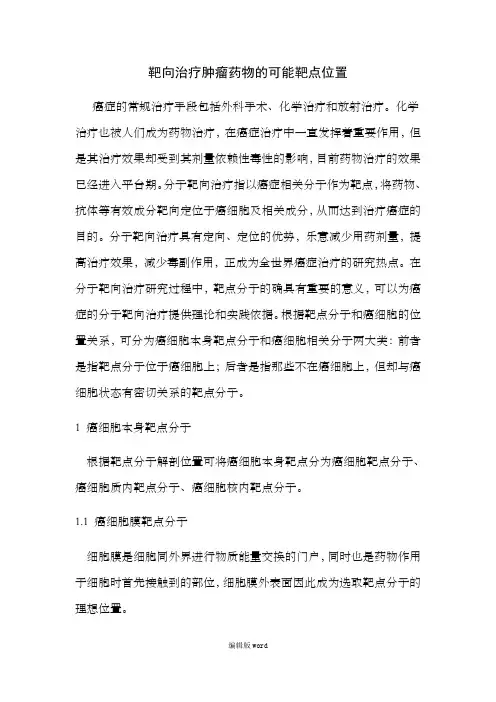 靶向治疗肿瘤药物的可能靶点位置