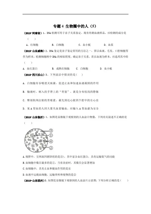 2019年中考生物真题专项汇编：专题4 生物圈中的人(5)