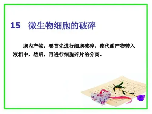 最新微生物细胞的破碎PPT课件