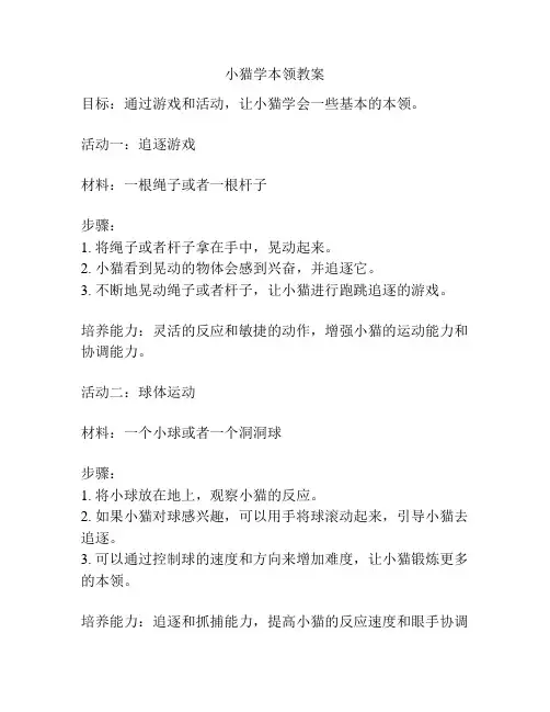 小猫学本领教案
