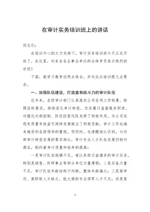 在审计实务培训班上的讲话