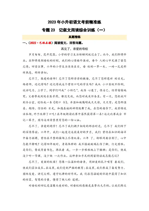 专题23 记叙文阅读综合训练(一)-2023年小升初语文考前精准练(全国版)