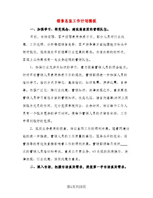 销售总监工作计划模板（五篇）