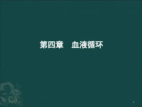 生理学ppt-课件第四章--血液循环