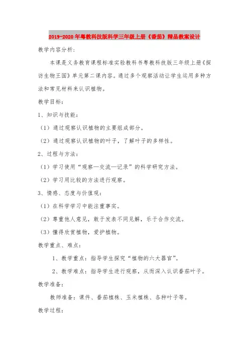 2019-2020年粤教科技版科学三年级上册《番茄》精品教案设计