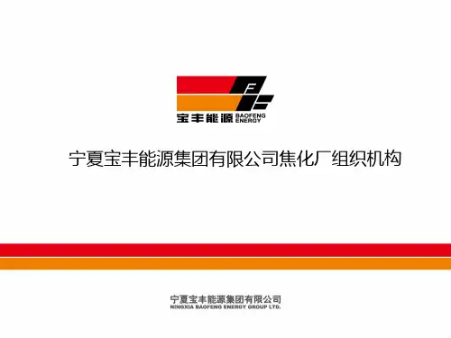 焦化厂组织机构2009[1].08.11