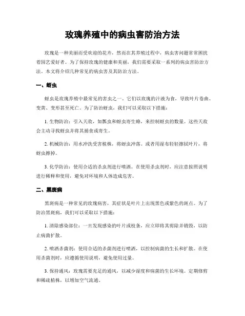 玫瑰养殖中的病虫害防治方法