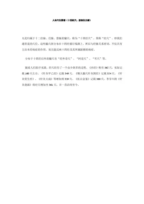 人体穴位图谱(十四经穴;按部位分解)