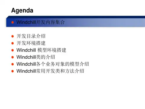 Windchill常用开发大全.ppt