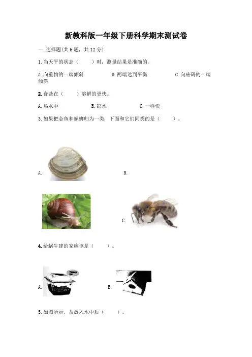新教科版一年级下册科学期末测试卷丨精品(名校卷)