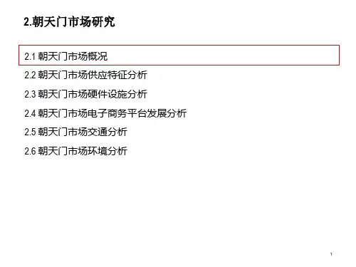 重庆朝天门批发市场分析报告
